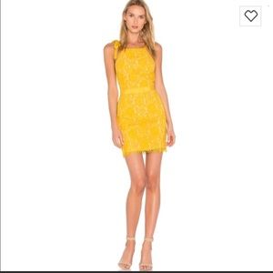 Revolve Endless Rose Dress